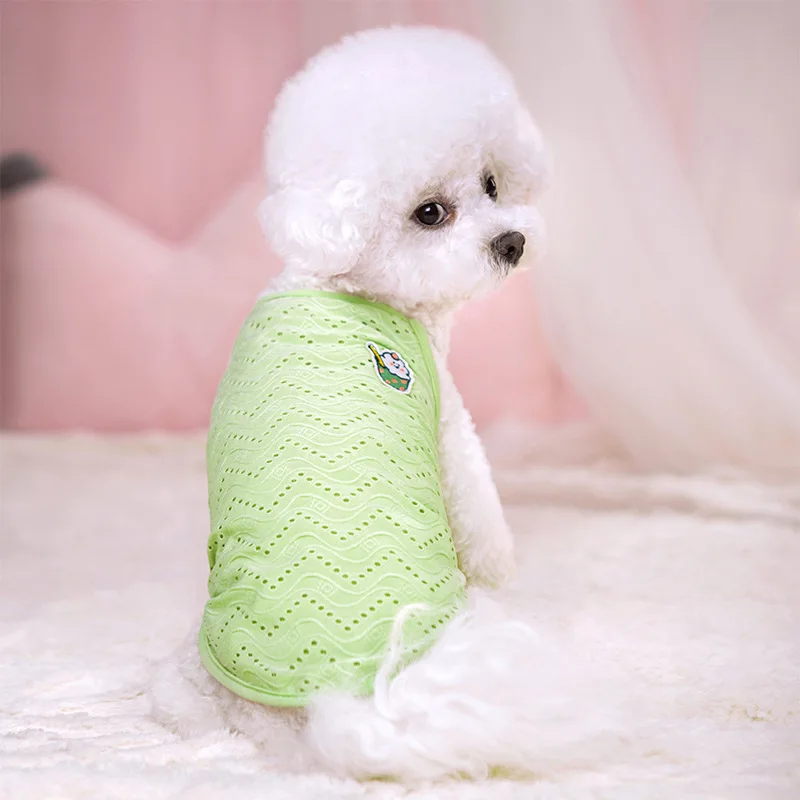 Gato y perro con ropa