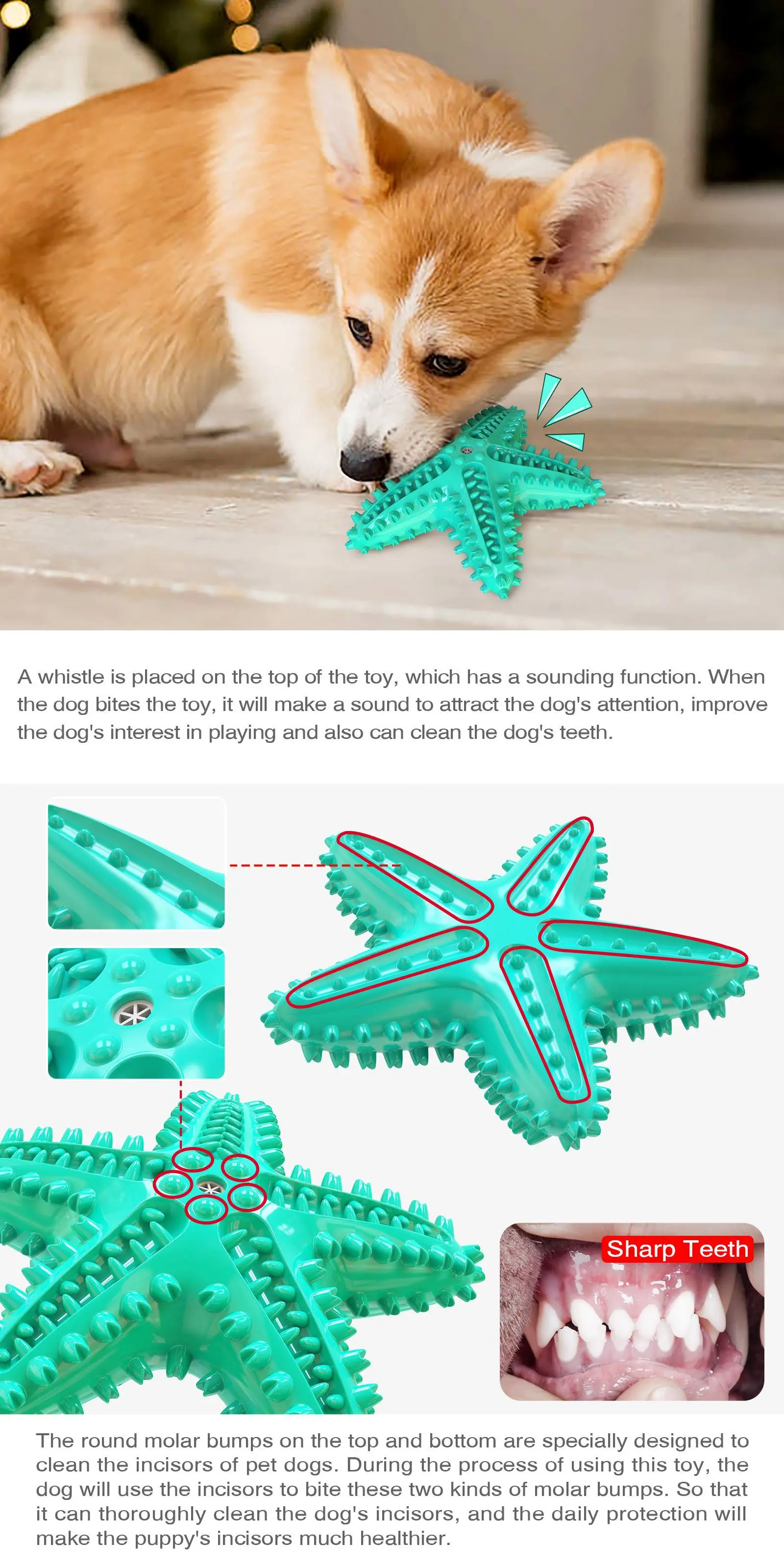 Juguete para dentición con forma de estrella de mar
