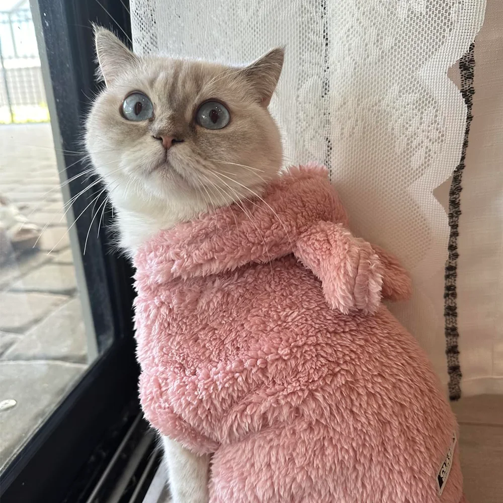 Suéter de lana para gatos con orejas de conejo