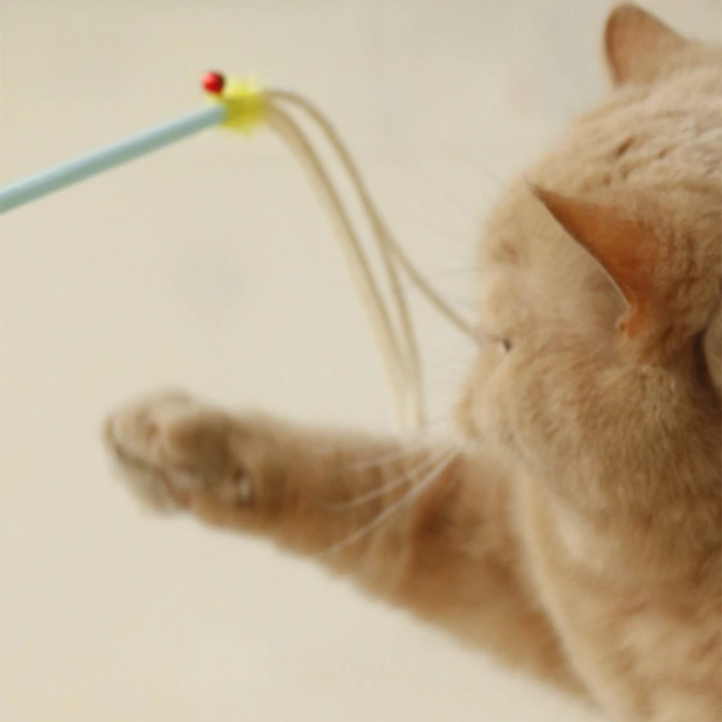 Caña interactiva lana con cascabel para gatos – Limpia dientes - imagen 5
