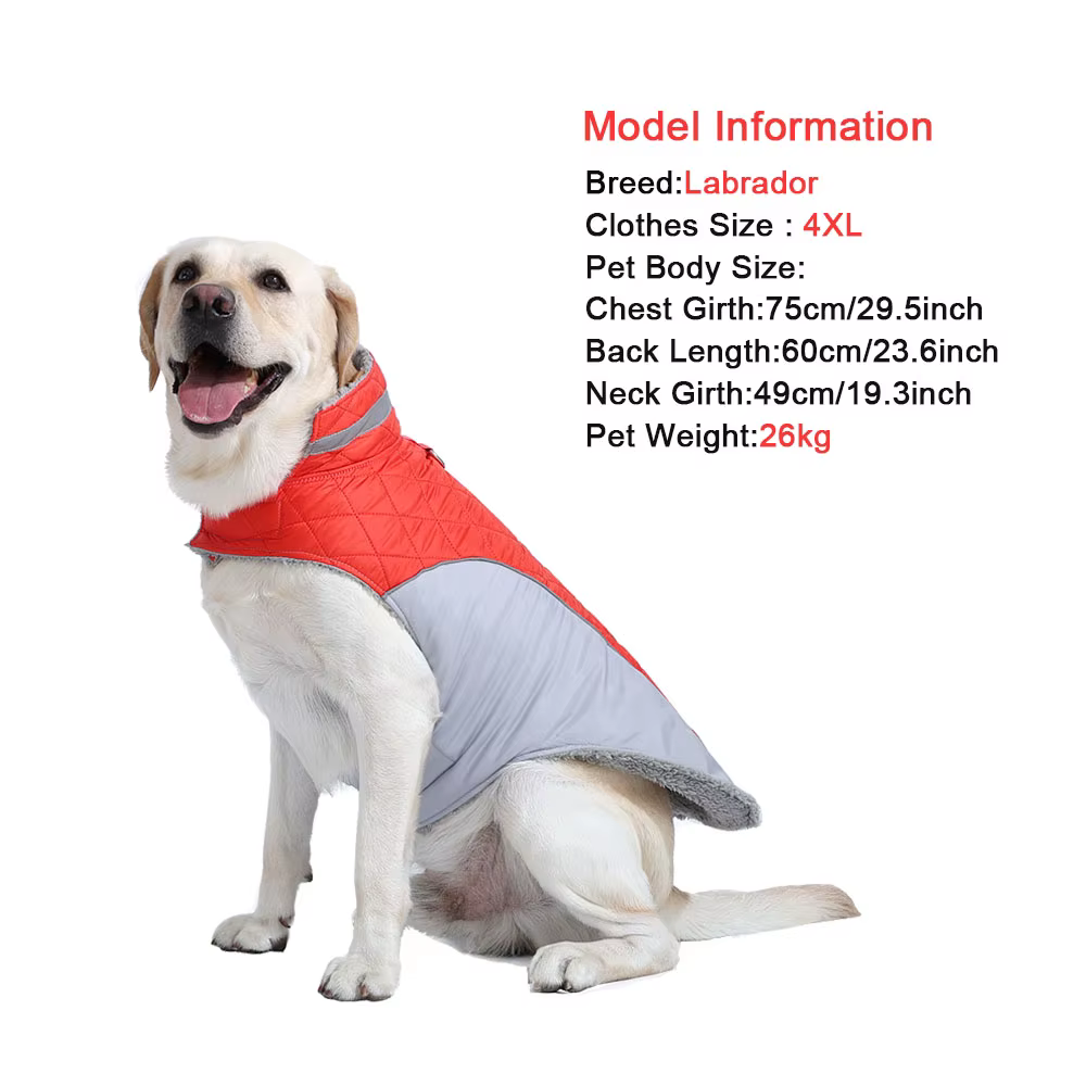 Chaqueta impermeable para perro grande en uso