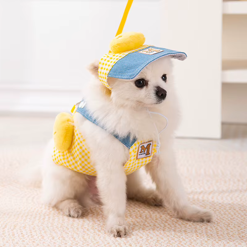 Chaleco de verano a cuadros para perro con arnés, correa y sombrero