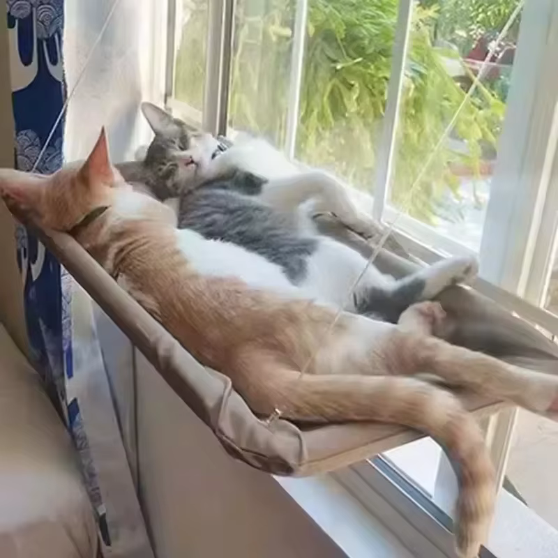 Hamaca colgante para gatos de invierno con ventosas, fácil instalar - imagen 2