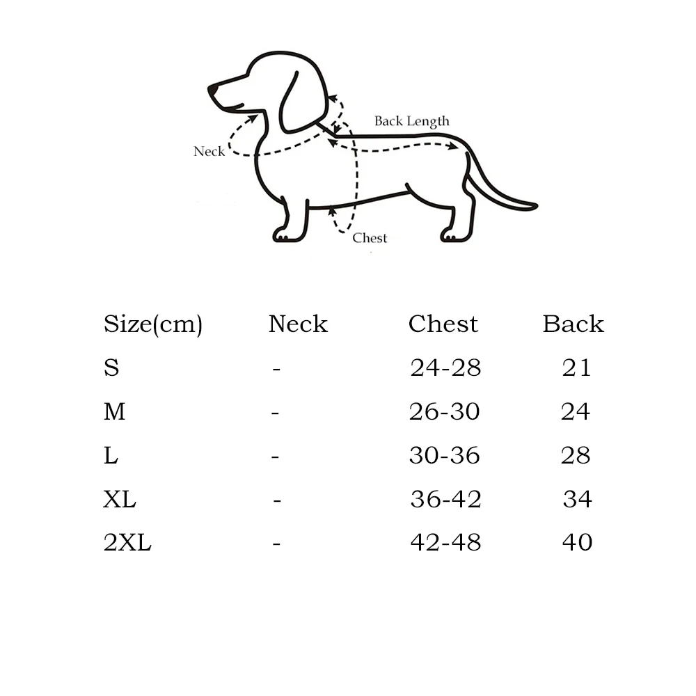 Suéter azul y rojo para dachshund visto de frente