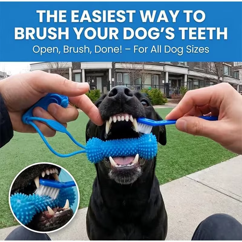 Juguete dental de doble acción para perros, masticable - imagen 3