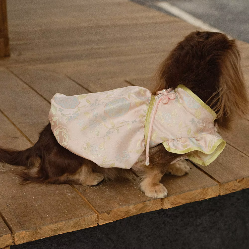 Vestido Cheongsam suave con lazo y perlas para teckel o perro mini