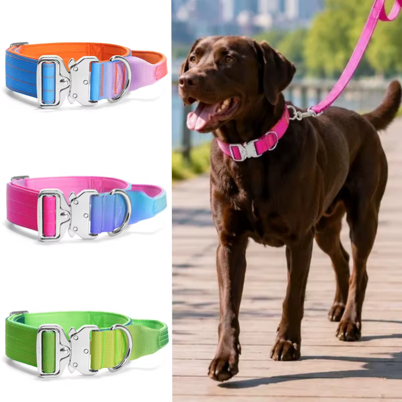 Collar resistente para perros activos