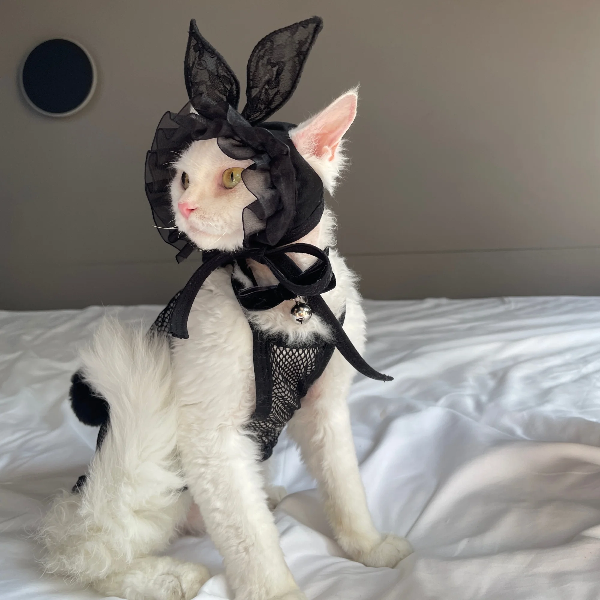 Disfraz de gato salvaje sexy para cosplay Sphynx, camisola de malla - imagen 5
