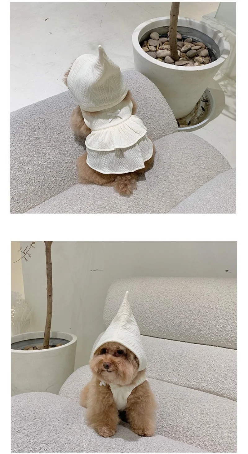 Ropa perros Chihuahua
