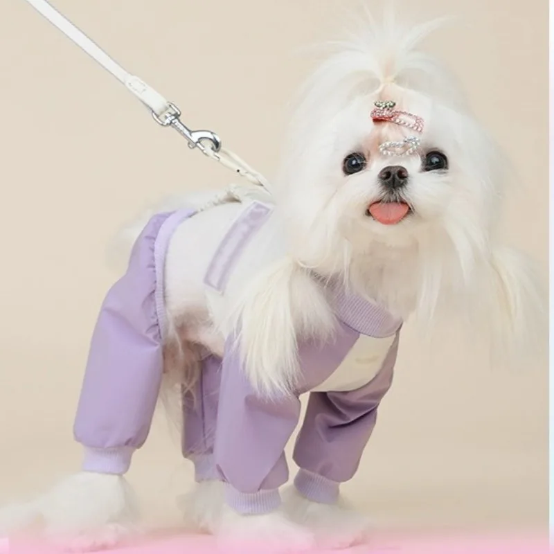 Pantalones antipolvo para perros: ligeros y limpios en paseos de primavera y verano - imagen 3