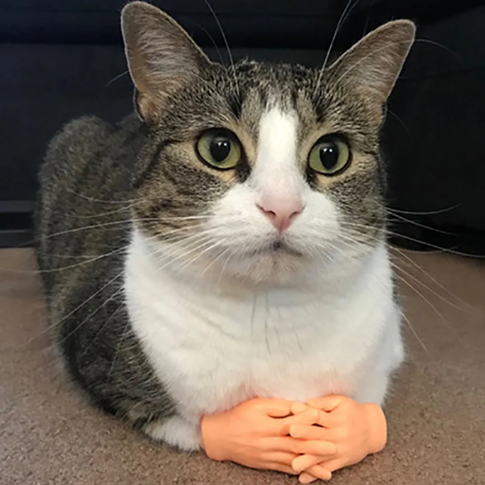 Guante de dedo para masajear gatos de látex