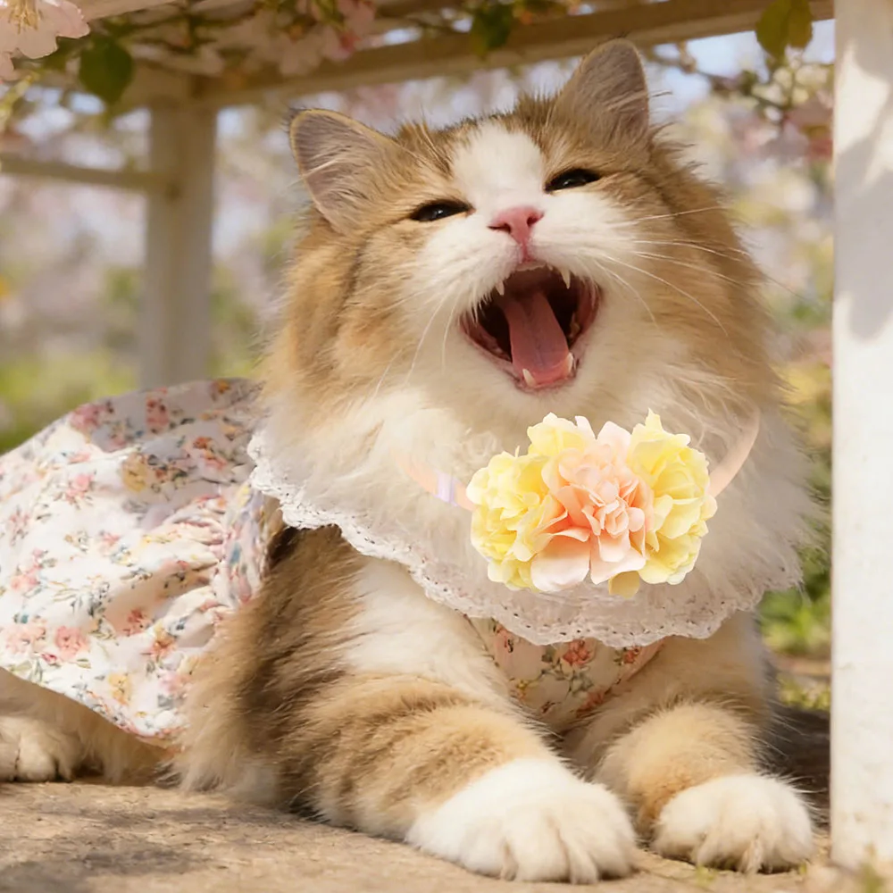 Collar ajustable con lazo floral para perros y gatos - imagen 5
