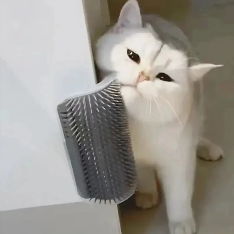 Cepillo autolimpiable para gatos y perros con hierba gatera
