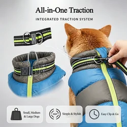 Abrigo invierno para perros y gatos – Bulldog Francés, Chihuahua