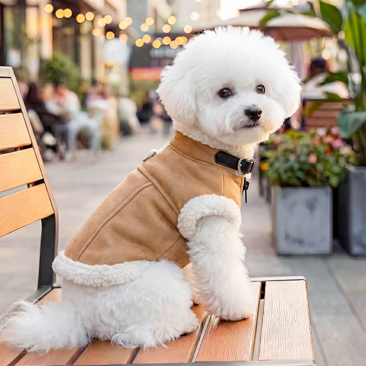 Abrigo Cálido con Capucha de Felpa para Perros Pequeños - imagen 5
