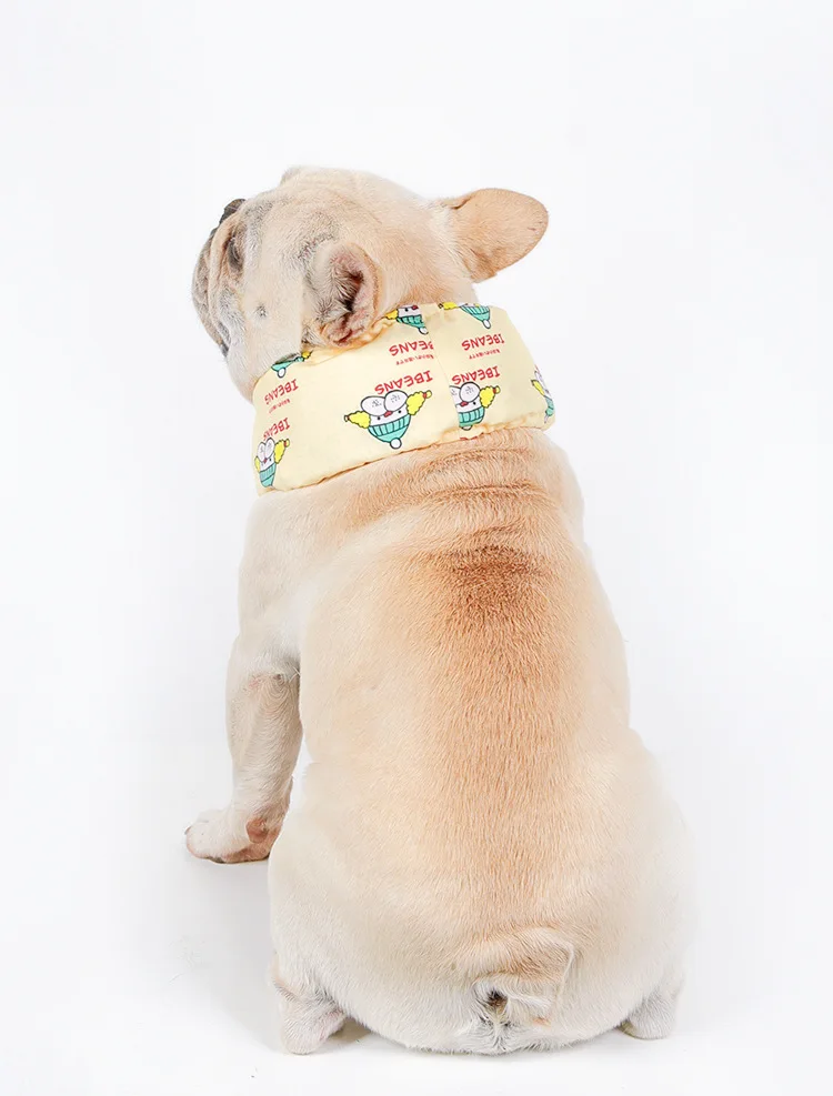 Perro Corgi usando pañoelo refrigerante con estampado de huesitos