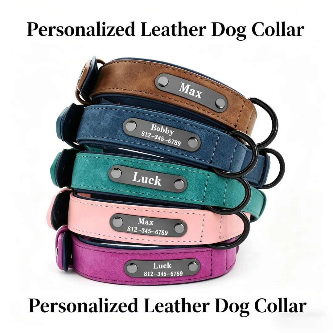Collar de cuero PU con plaqueita identificativa