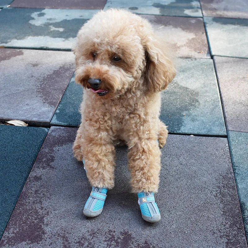 Botas impermeables y antideslizantes para perro, transpirables - imagen 3