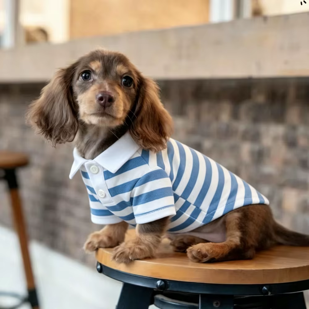 Polo a rayas de algodón suave para perros salchicha mini primavera