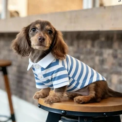 Polo a rayas de algodón suave para perros salchicha mini primavera