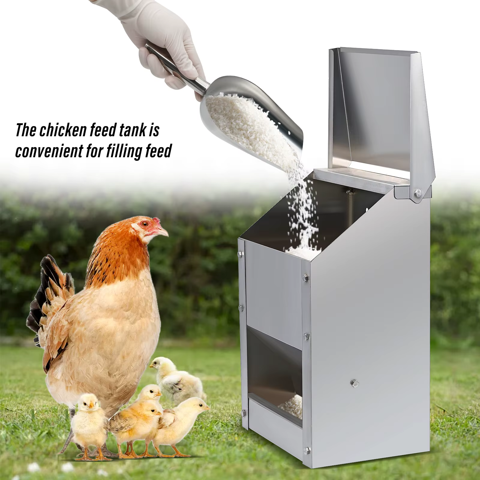 Comedero de acero inoxidable para pollos – Tina con tapa abatible - imagen 4