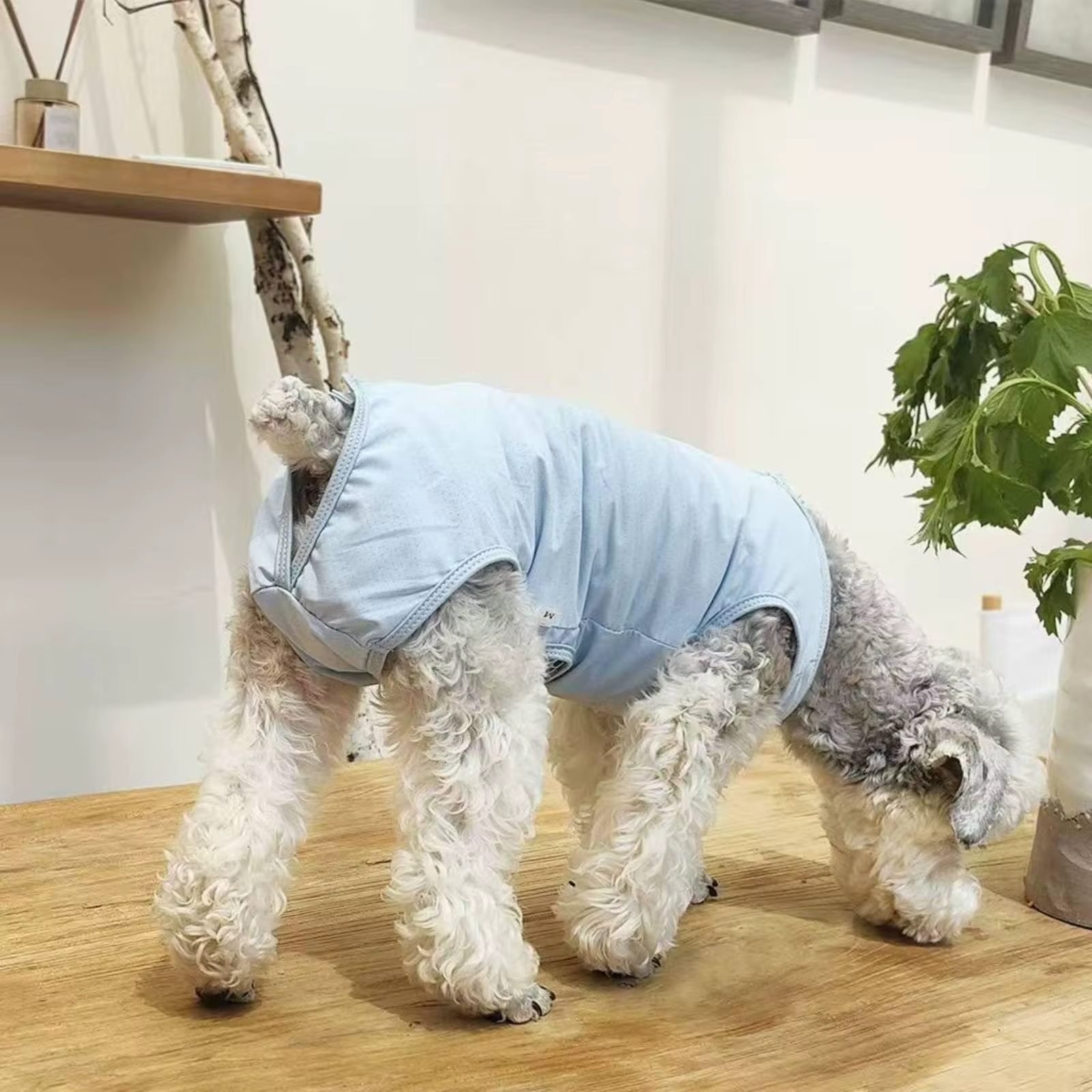 Pantalones Ergonómicos para Perros – Protege Durante Recuperación y Calor - imagen 5