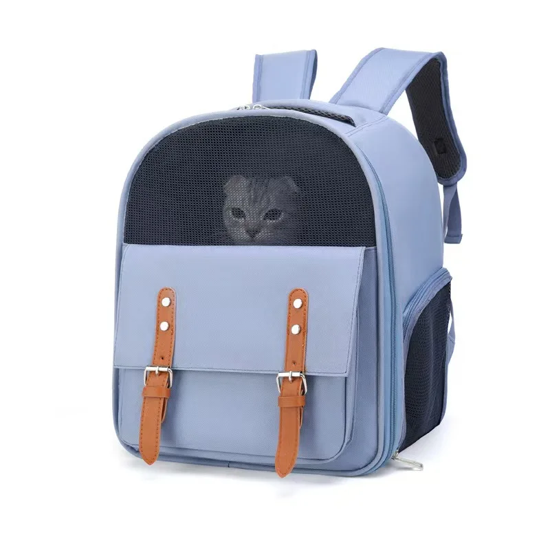Mascota transportada en mochila durante una salida