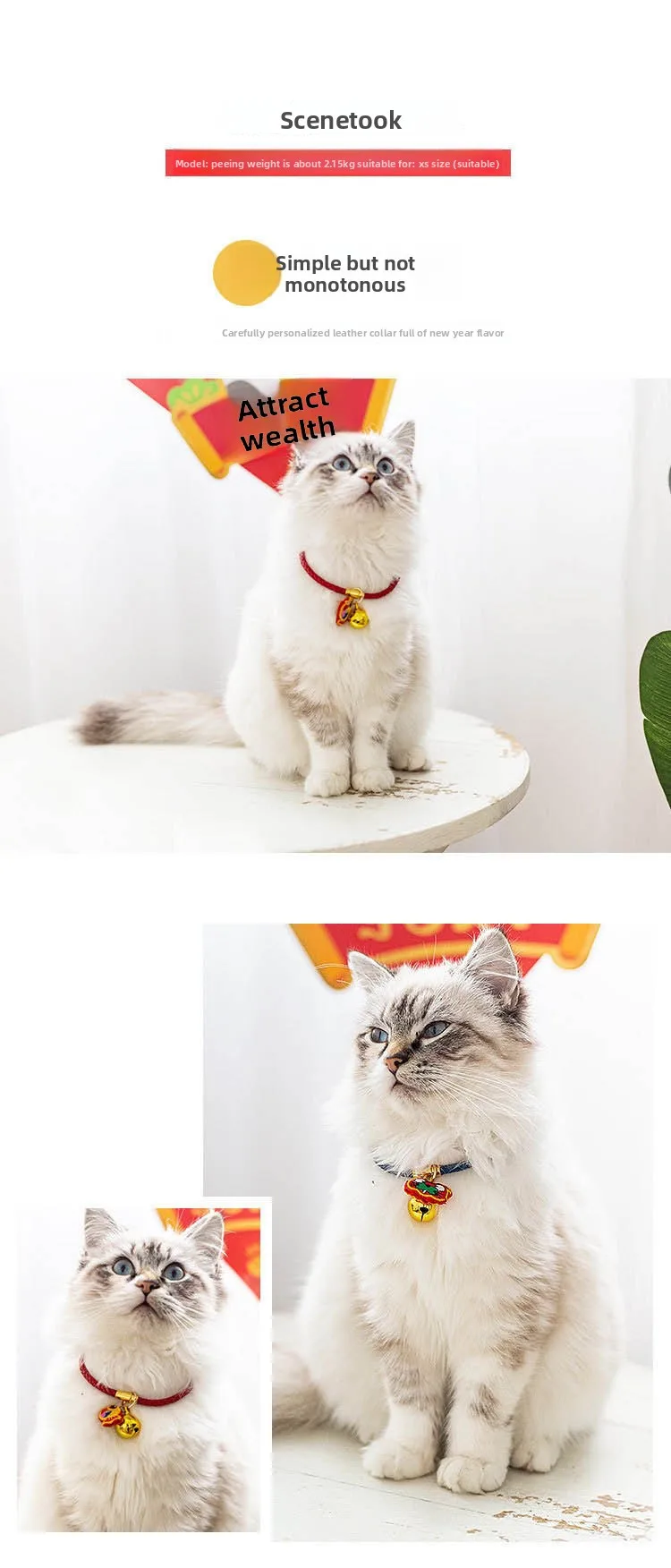 Collar ajustado a gatito pequeño