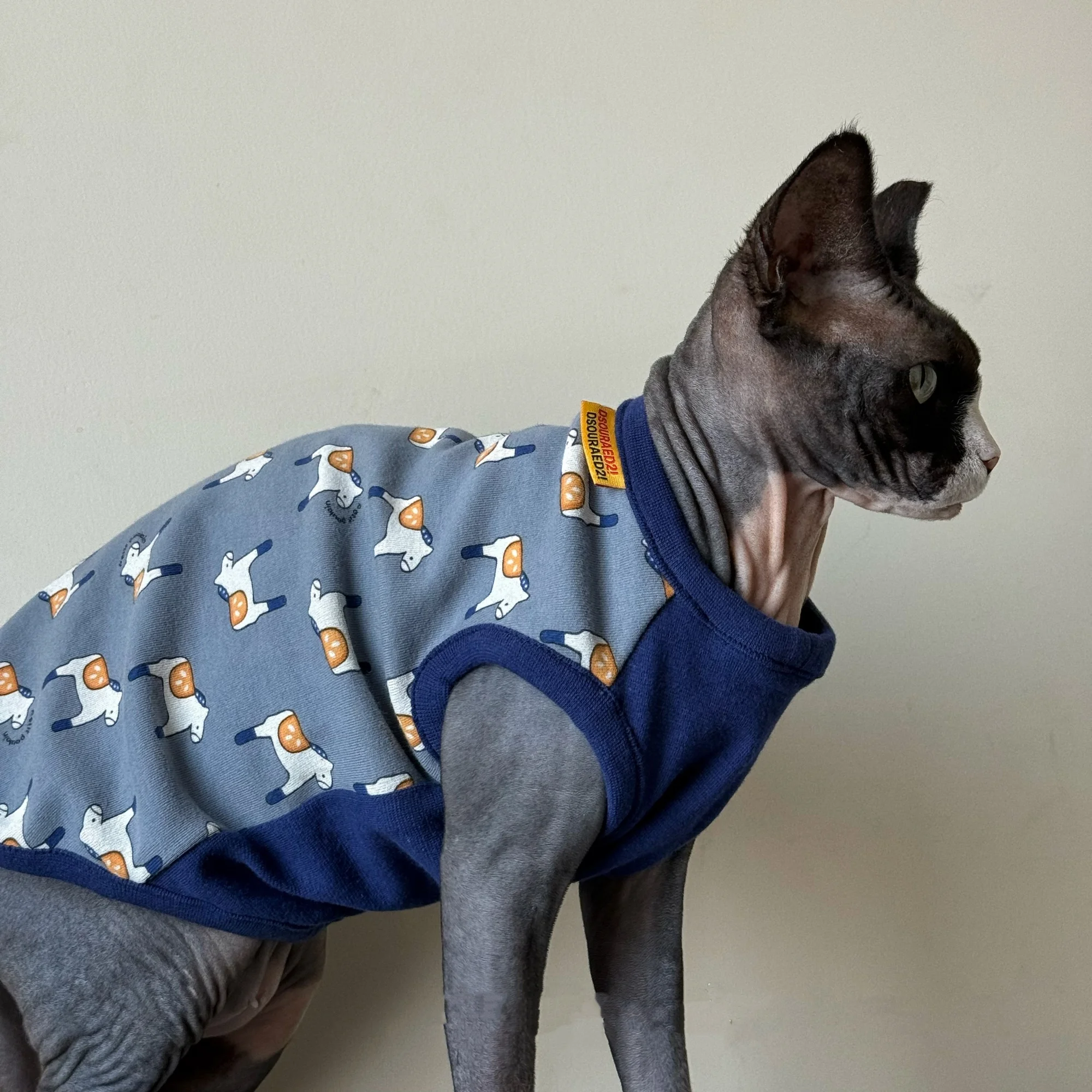 Gato con prenda