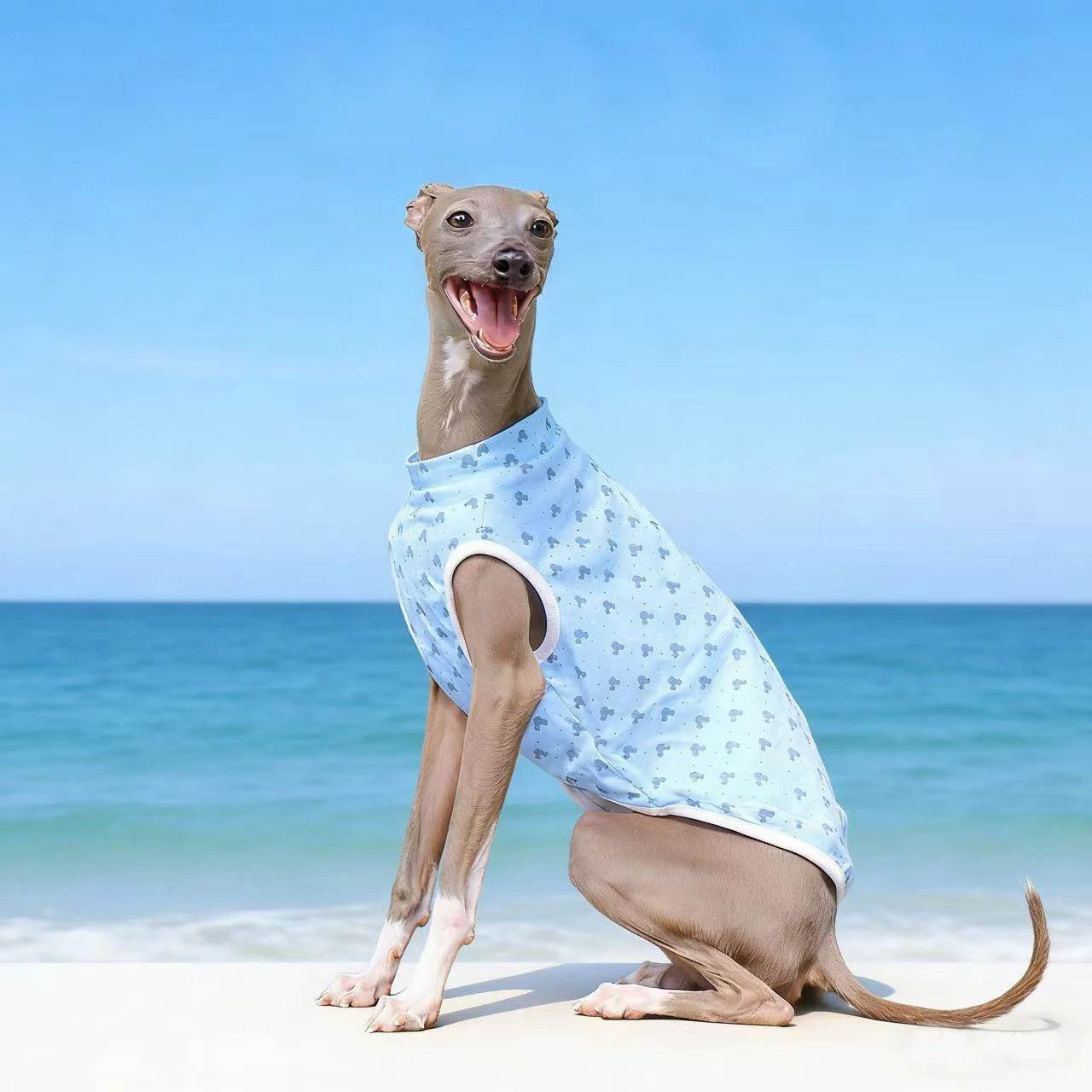 Chaleco suave en color azul para galgo