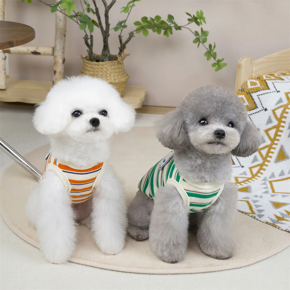 Chaleco a rayas para mascota activa