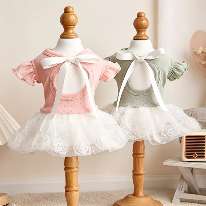 Perra pequeña posando con el vestido de tul rosa