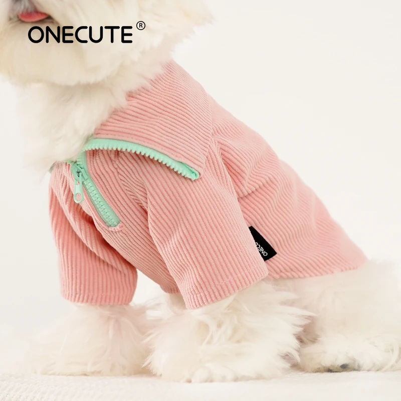Perro con ropa de invierno