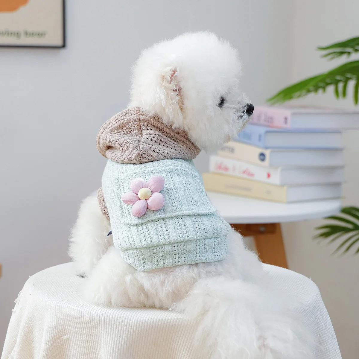 Uso quotidien de la sudadera