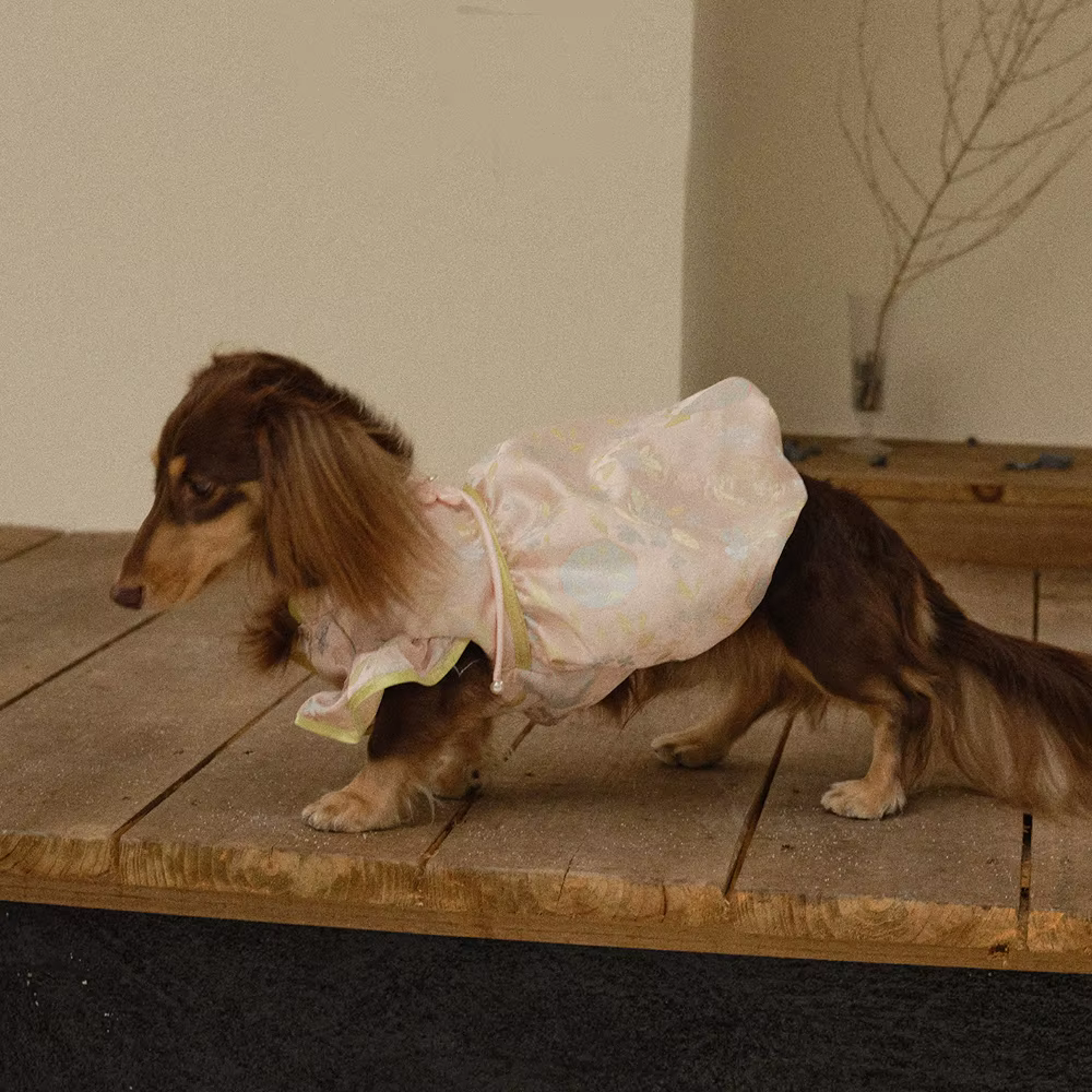 Vestido Cheongsam suave con lazo y perlas para teckel o perro mini - imagen 2