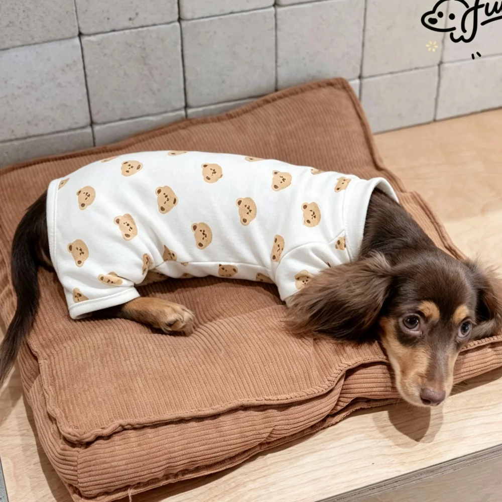 Sudadera para Dachshund mini – abrigo de oso algodón suave - imagen 5