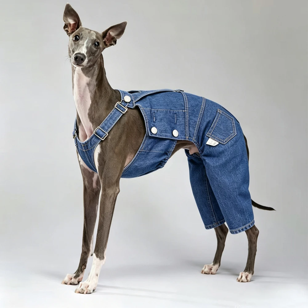 Pantalones vaqueros ajustables para perros – Moda primavera Galgo Italiano Whippet