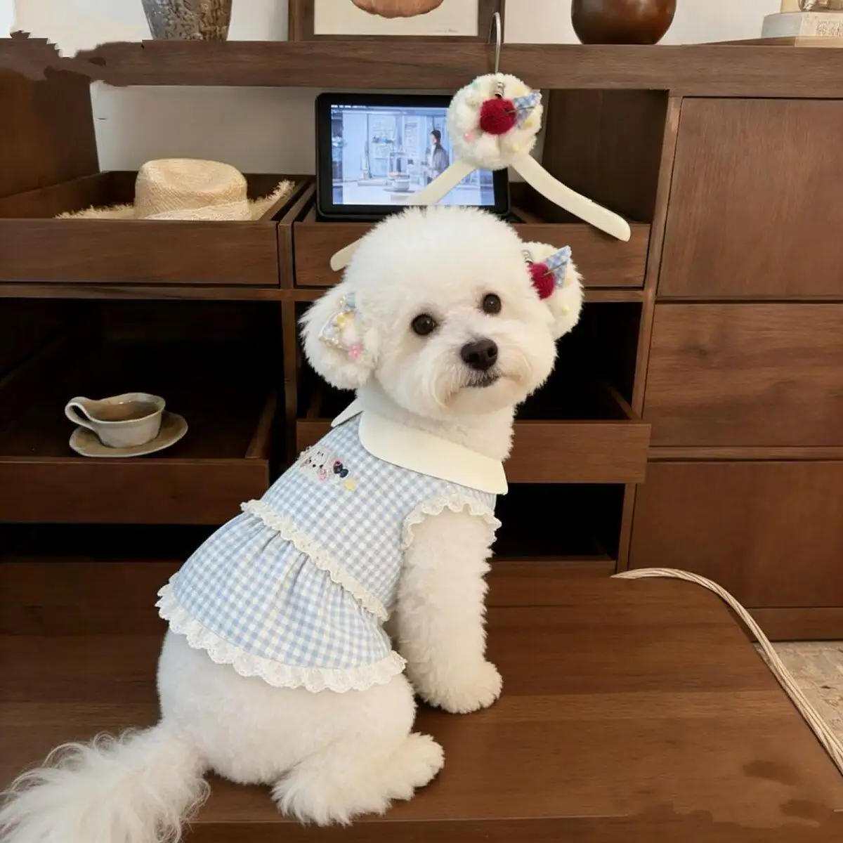 Vestido de encaje con cuadros para perros pequeños: ropa de princesa