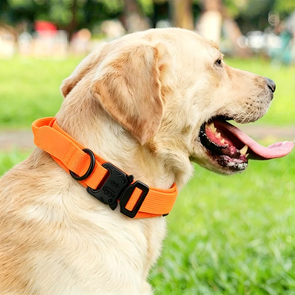 Collar táctico con asa ajustable militar para perros medianos-grandes - imagen 4