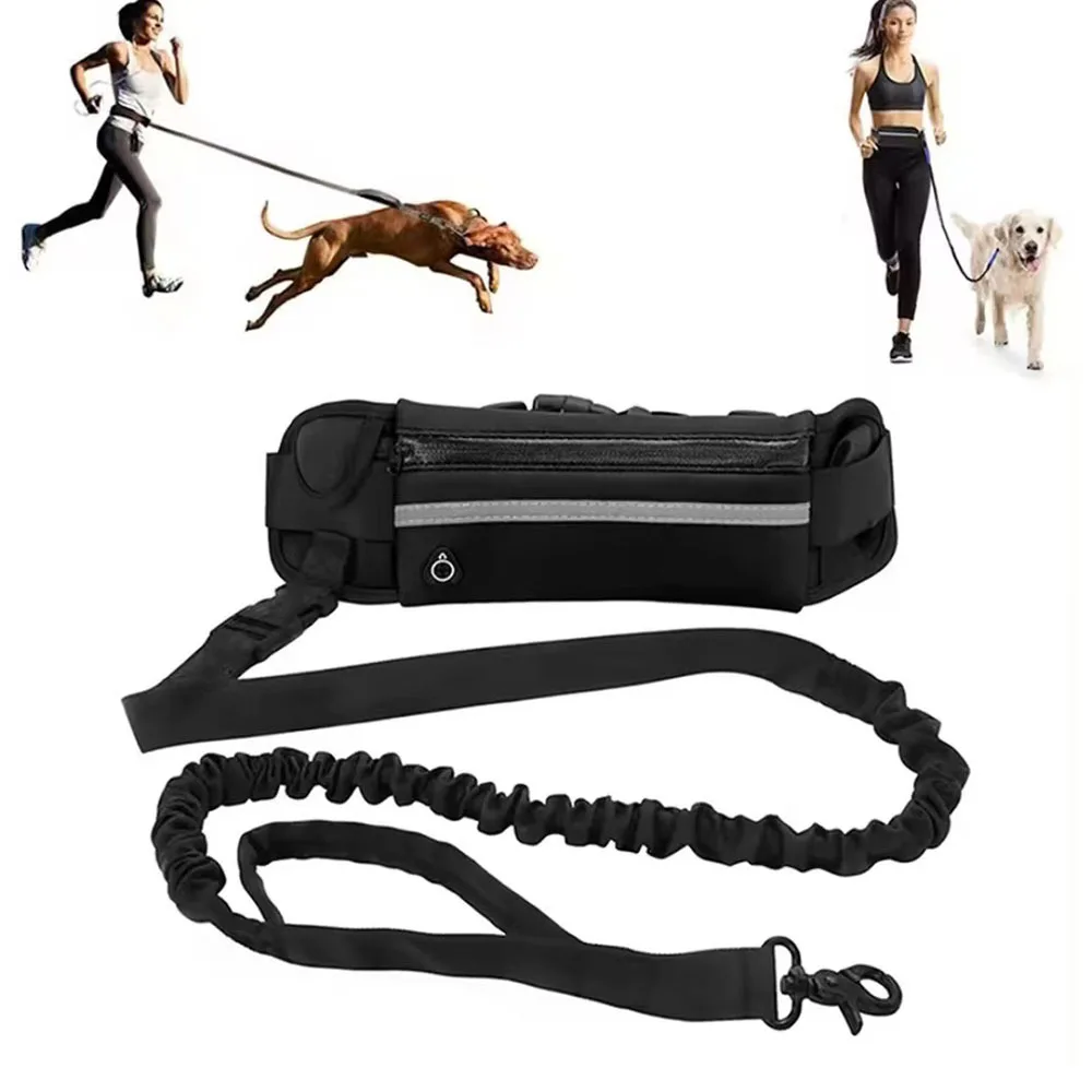 Paseo con perro pequeños y medianos