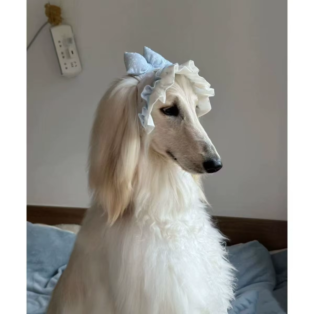 Gorro encaje antisuciedad con dibujos animados para perros y cachorros