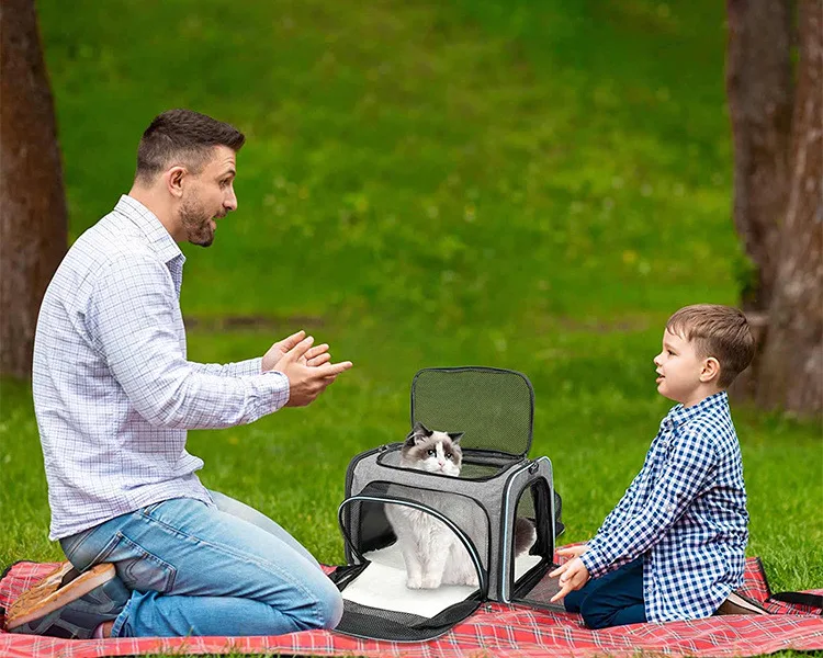 Bolsa transportín para mascotas en mano
