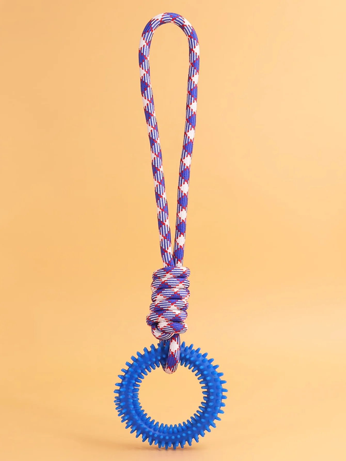 Perro jugando con el anillo de entrenamiento