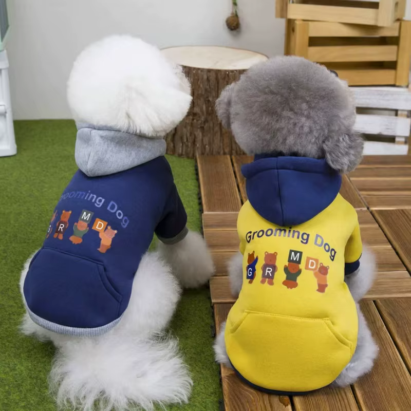 Mascota usando sudadera con capucha en exteriores