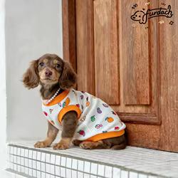 Camiseta sin mangas de verano para perros salchicha, estampado frutas