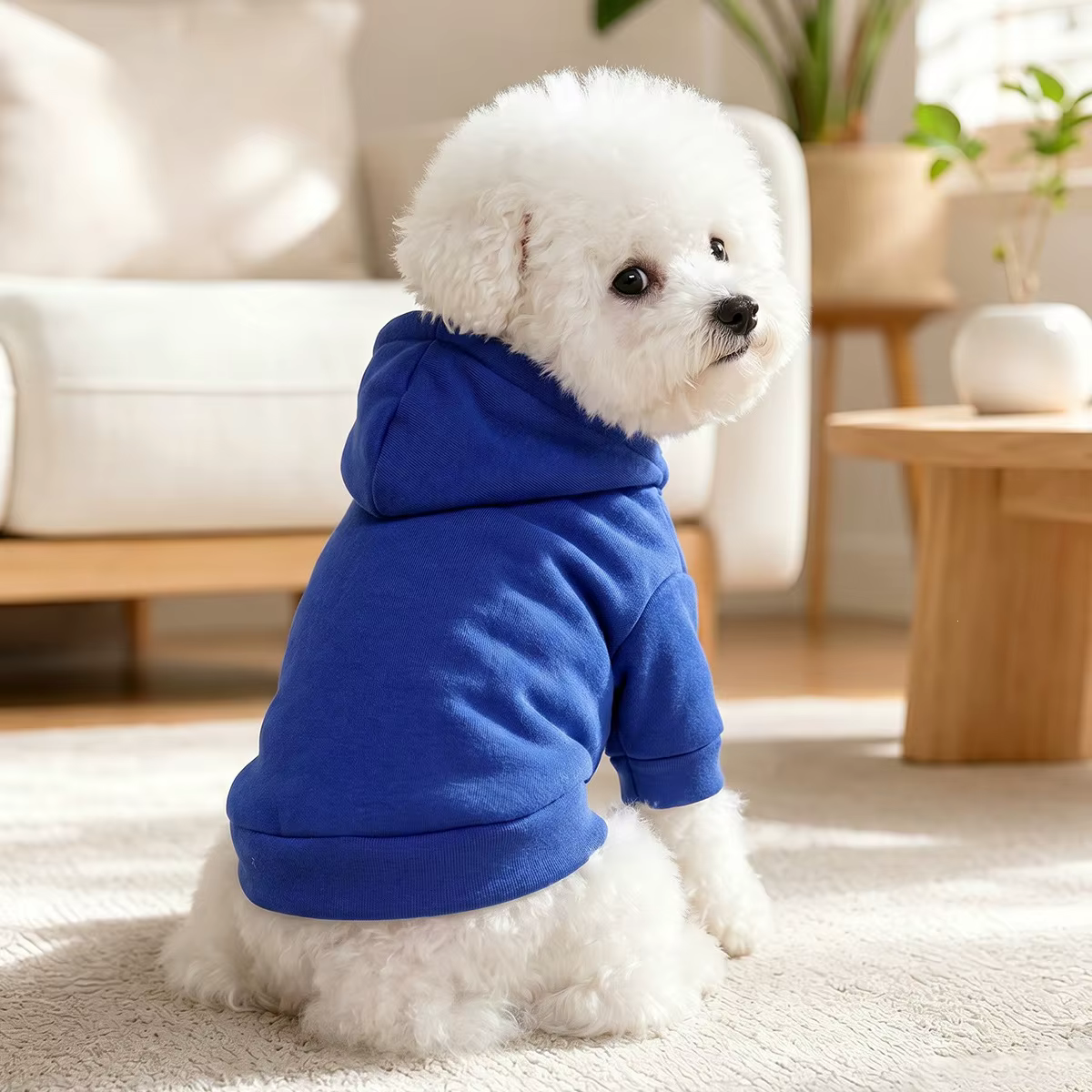 Sudadera invierno con capucha para perros Chihuahua Yorkshire pequeños