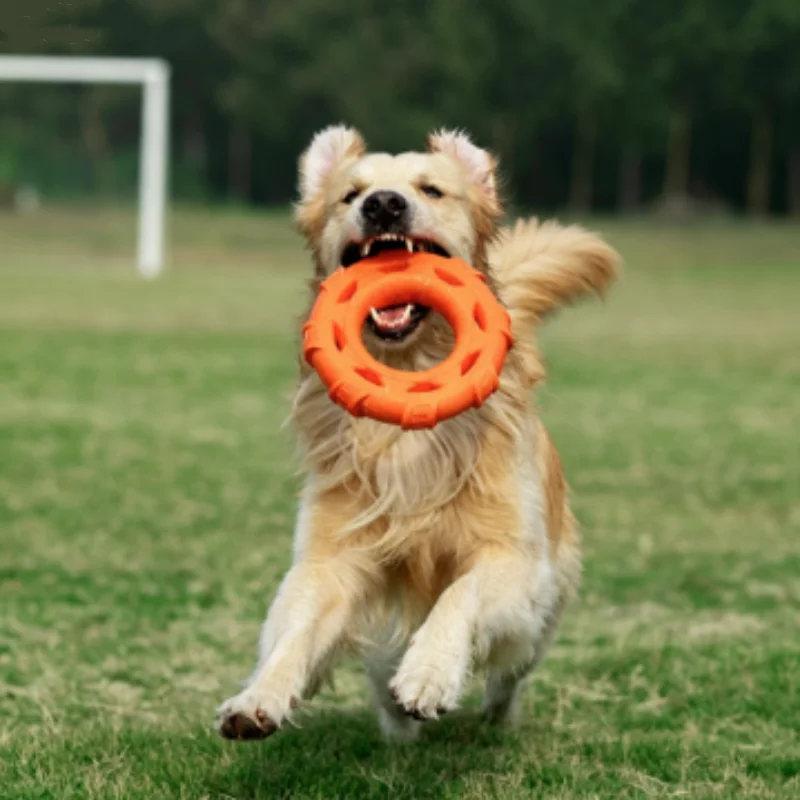 Juguete anillo flotante TPR resistente a mordidas para perros - imagen 3