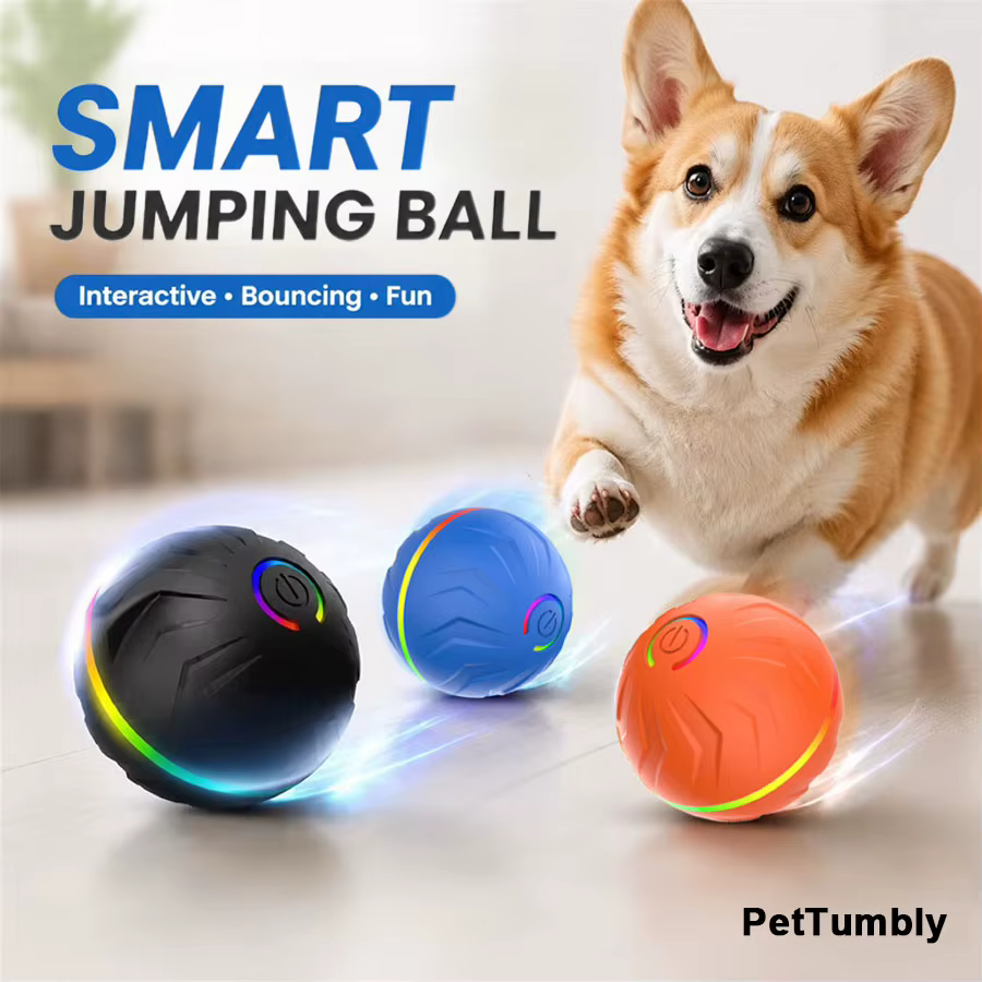 Pelota automática para perros con USB – Juguete interactivo