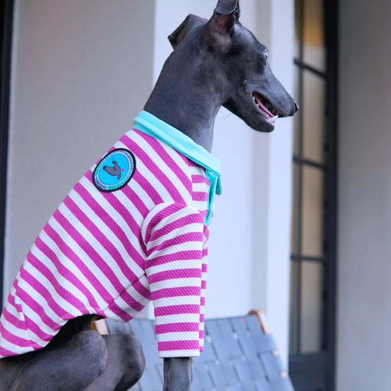 Ropa elástica para perros delgados