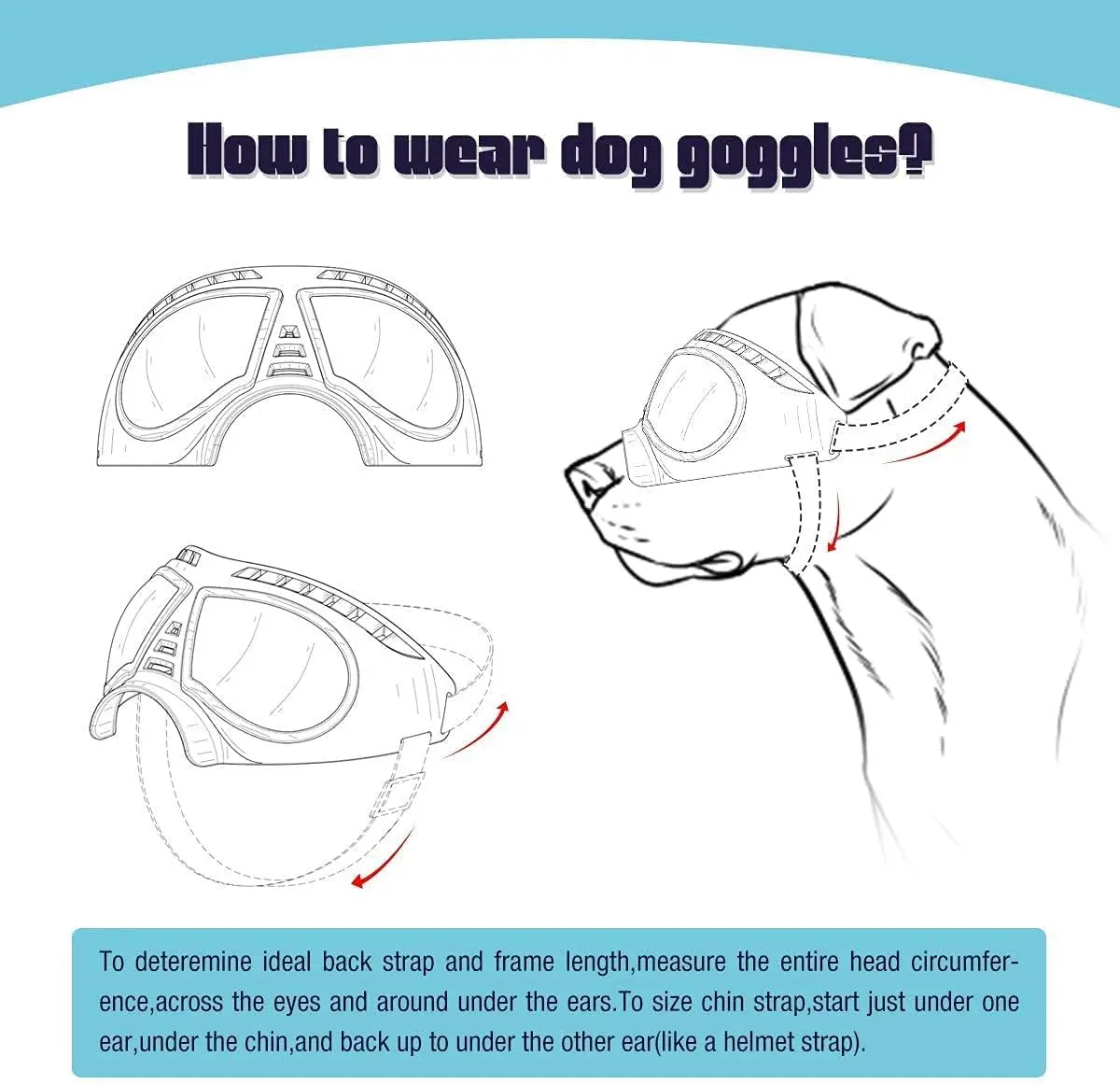Estuche de transporte para gafas de perro